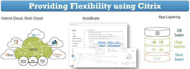 Providing Flexibility with Citrix